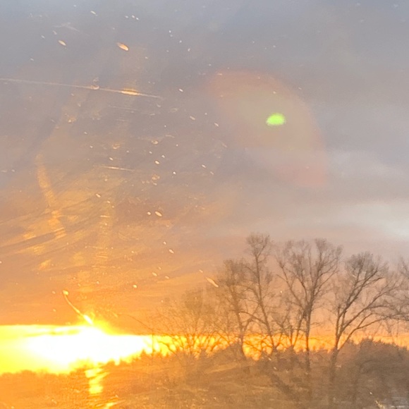 Meet your Posher, Bella - Picture 1 of 1